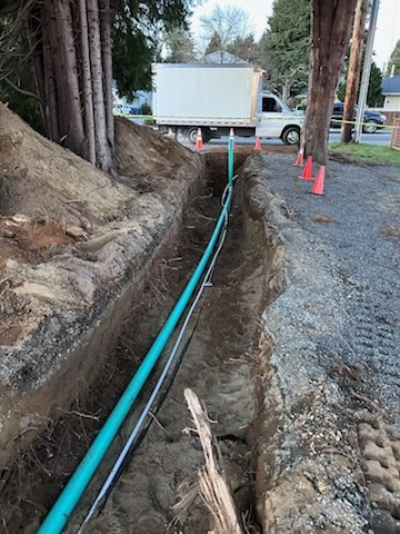 Professional Plumbing Services