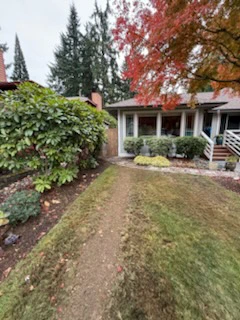 Professional Plumbing Services