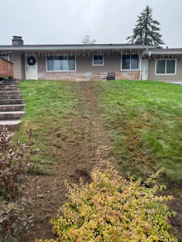 Professional Plumbing Services