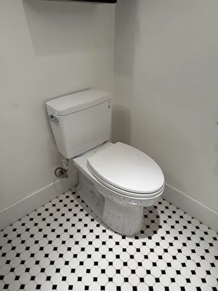 Professional Plumbing Services